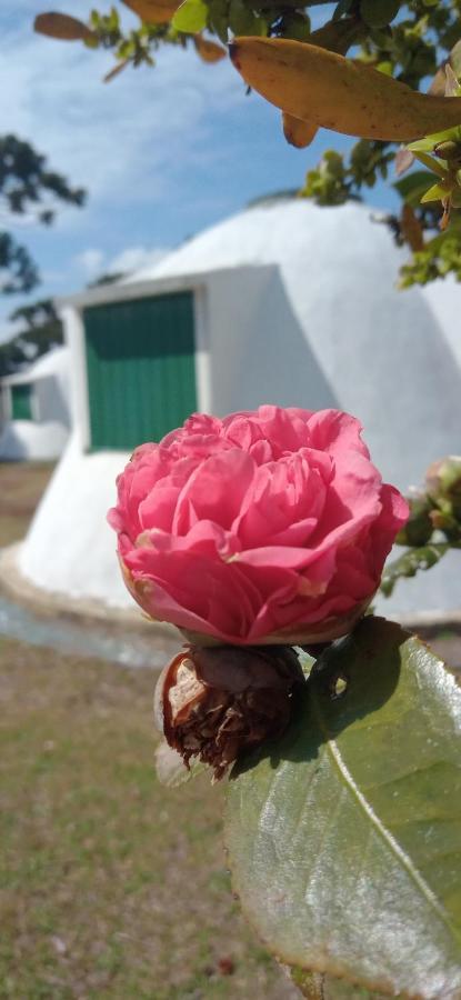 Pousada Igloo Campos do Jordão المظهر الخارجي الصورة