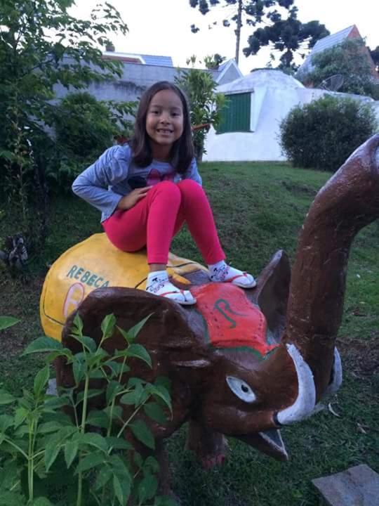 Pousada Igloo Campos do Jordão المظهر الخارجي الصورة